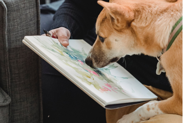 Obras de arte com a participação dos cães